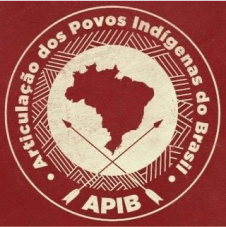 Apib Logo