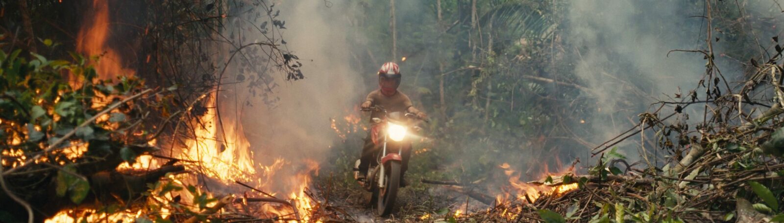 A motorcycle racing through a burning forest.