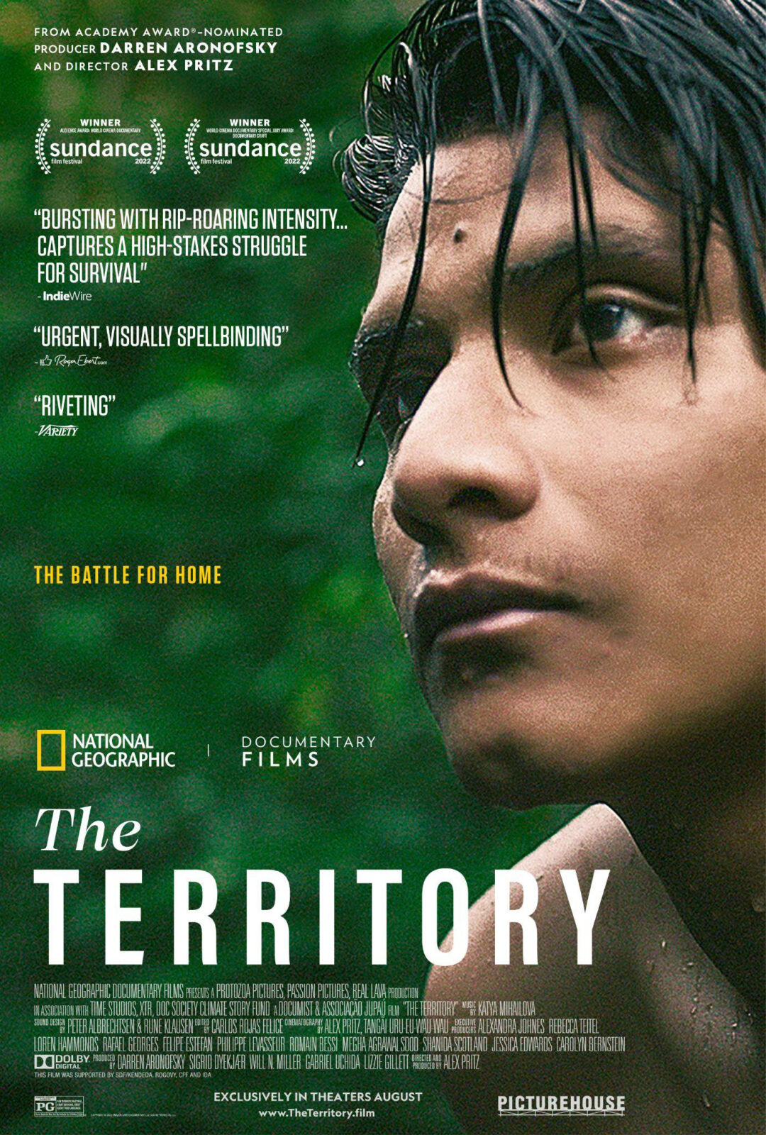 Poster for "the territory"_young indigenous man, forest in the background