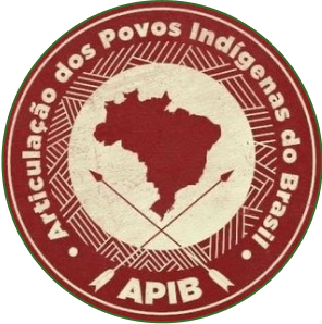 Logo for APIB