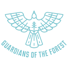 Logo for Guardians of the Forest